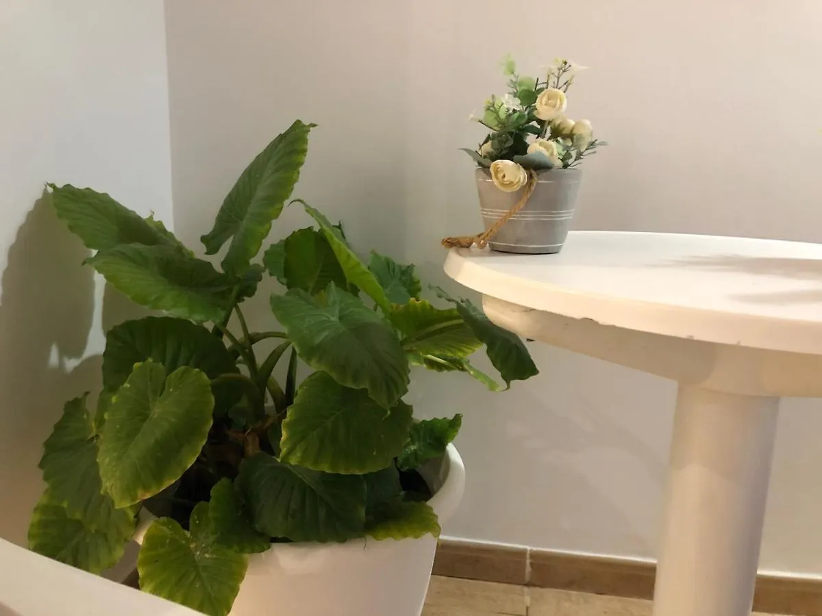 Palmar Dreams Apartment Arona  Spain